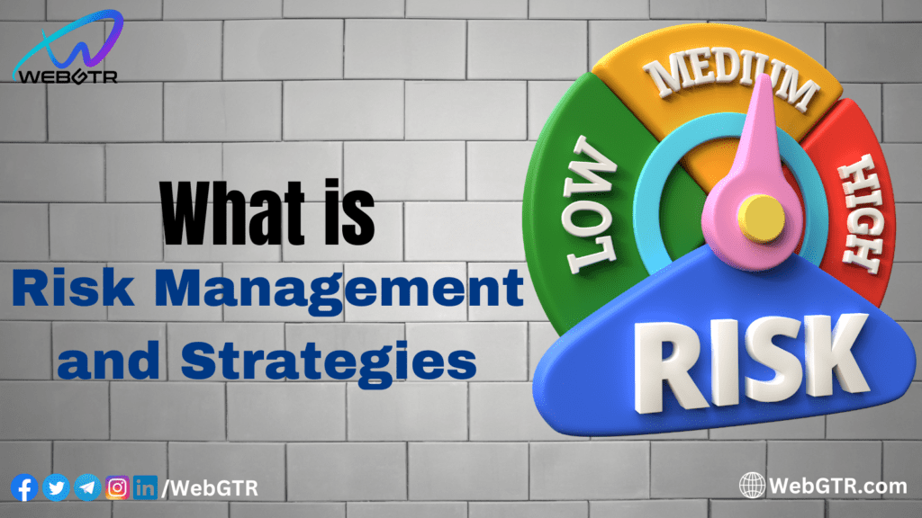 What is Risk Management and Strategies?